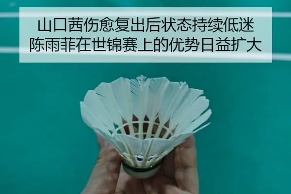 shan-kou-qian-shang-yu-fu-chu-hou-zhuang-tai-chi-xu-di-mi-chen-yu-fei-zai-shi-jin-sai-shang-de-you-shi-ri-yi-kuo-da-3-819.jpg