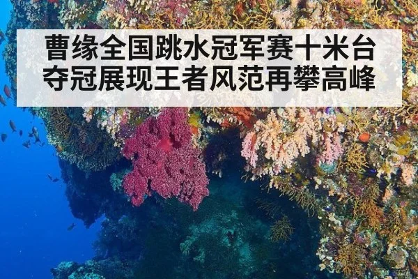 曹缘全国跳水冠军赛十米台夺冠展现王者风范再攀高峰